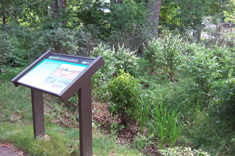 Bronx River Reservation Wetland Signage