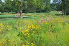 Bonnie Briar Country Club